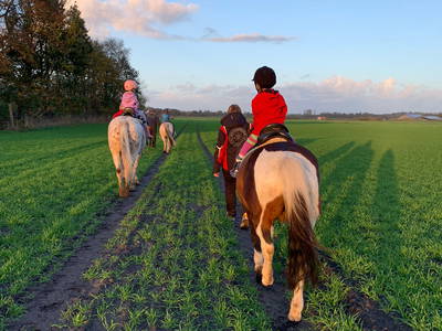 Bild 40 aus  Hof  Schmörholm Urlaubs- und Früchtehof