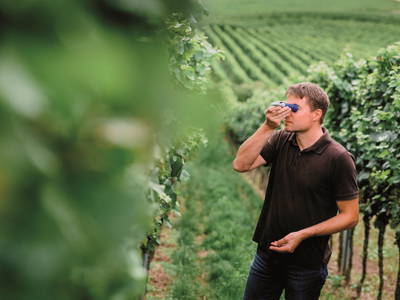 Bild 8 aus  GAST.HAUS.PORZELT