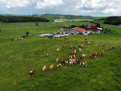 Bild 12 aus  Bauernhof Härtel