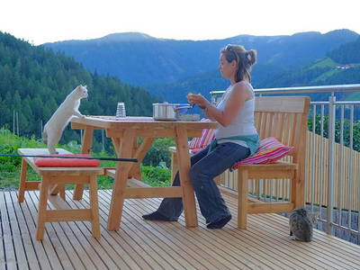 Bild 5 aus  Biobergbauernhof Garmesegg