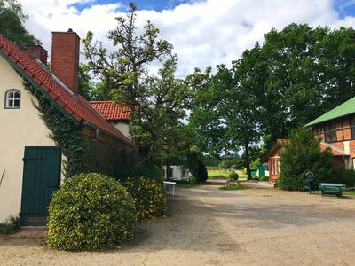 Bild 19 aus  Ferienhof Wisch an der Ostsee