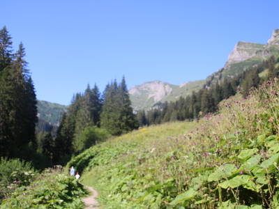 Bild 10 aus  ZE Mountain Lodge