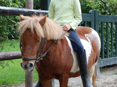 Bild 22 aus  Hof hinterm Deich