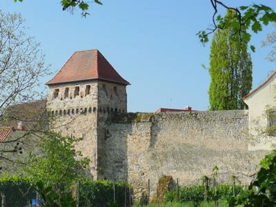 Stadtmauer Freinsheim