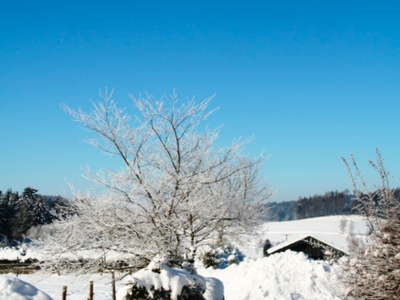 Bild 29 aus  KnallerbsenHof