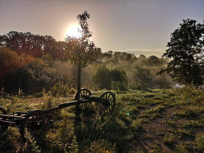 Bild 6 aus  Rittergut Positz