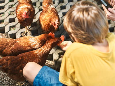 Bild 15 aus  Premium - Ferienhof Lunau an der Ostsee