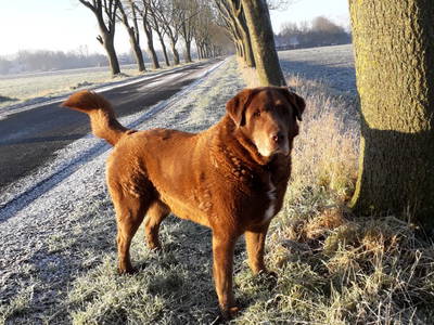 Bild 14 aus  Ferienwohnungen Meyerhoff