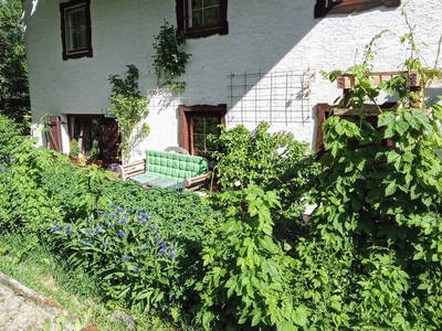 Bild 45 aus  Grashöfle