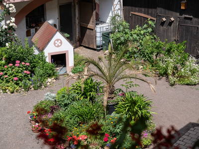 Bild 24 aus  Lautersheimer Gutshof