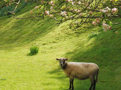 Bild 19 aus  Ferienhof Am Wunderberg