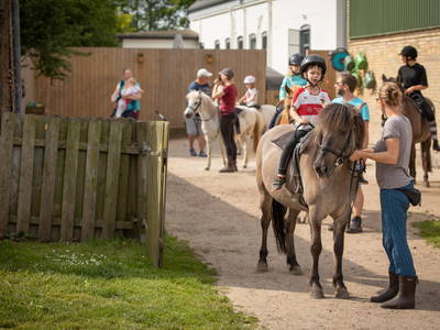 Bild 25 aus  LINDENHOF- BAUERNHOFURLAUB / OSTSEENÄHE