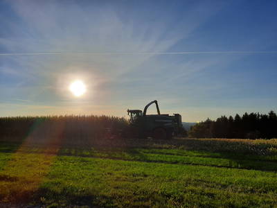 Bild 40 aus  Erholung - Natur pur - Urlaub auf dem Loyerhof