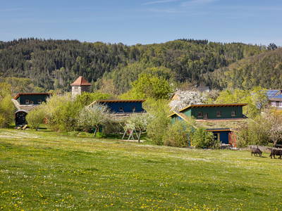 Bild 18 aus  Ferienhaus Schöneweiß