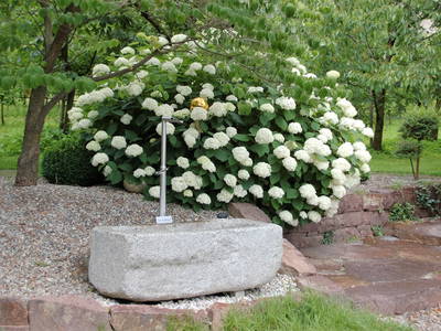 Bild 7 aus  Callhof Biohof