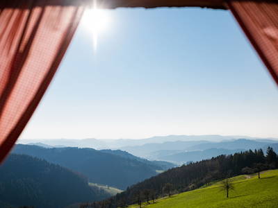 Bild 8 aus  Friedershof