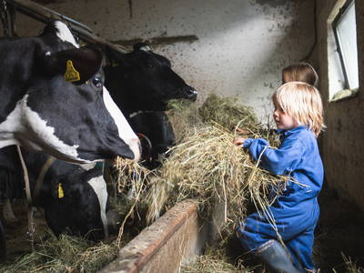 Bild 10 aus  Gurschlhof