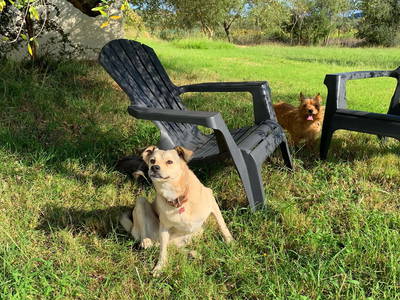 Bild 24 aus  Agriturismo Turudhis