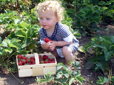 Bild 22 aus  Ferienhof Gröne