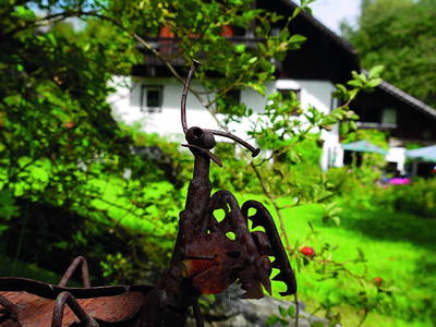 Bild 23 aus  Grashöfle