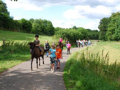 Bild 25 aus  Landhotel-Ferienhof Schneider