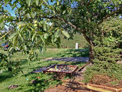 Bild 11 aus  Ferienhof Tillich - Erholsamer Landurlaub nahe dem Spreewald