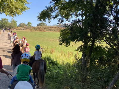 Bild 51 aus  Ferienhof Messer  Bauernhofurlaub  Ostseenähe  Ponys