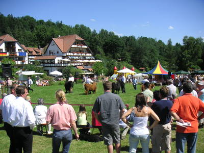Bild 16 aus  Hotel Gasthof Sieberzmühle