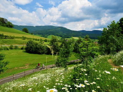 Bild 6 aus  „Hernis-Höfle“ Wohlfühlambiente im Elztal  5⭐️Sterneferien.