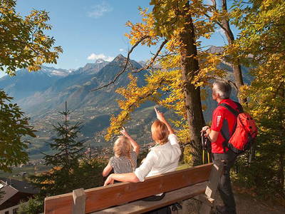 Bild 20 aus  Krebishof