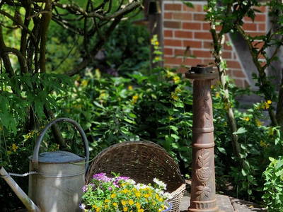 Bild 31 aus  Urlaub unterm Reet