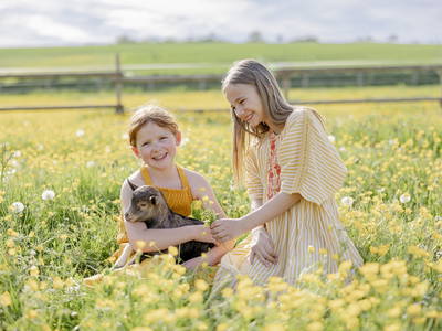 Bild 5 aus  LandSelection Hof Hardthöhe