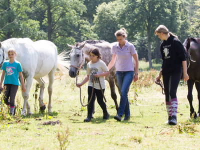 Bild 30 aus  Ferienhof Stegen