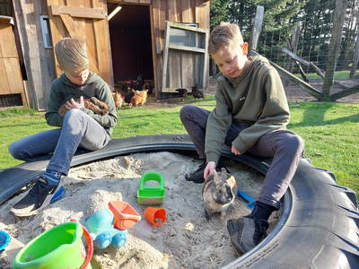 Bild 11 aus  Ferienhof Wegmann