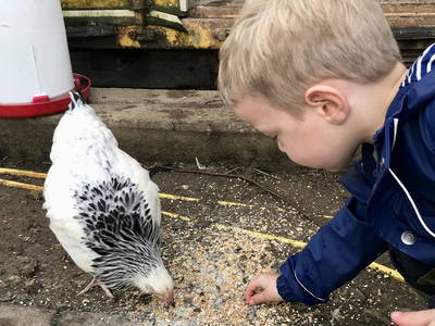 Bild 27 aus  Görgenhof - Gnadenhof für Bauernhoftiere