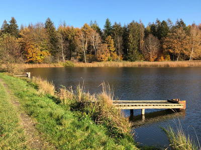 Waldhütten Naturpark Aukrug