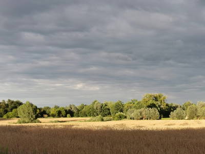 Bild 8 aus  LANDHAUS ARCADIA