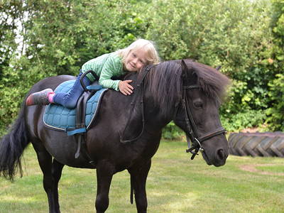 Bild 11 aus  Ferienhof Niemann im Hasetal ****