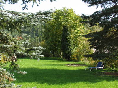 Bild 5 aus  kinderfreundlicher Familienbauerhof