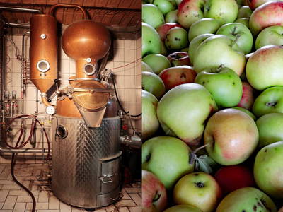 Bild 8 aus  Ferienhof Brudy