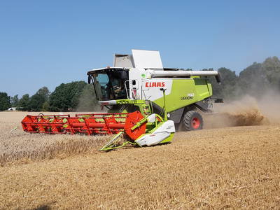 Bild 40 aus  Gut Sommereichen