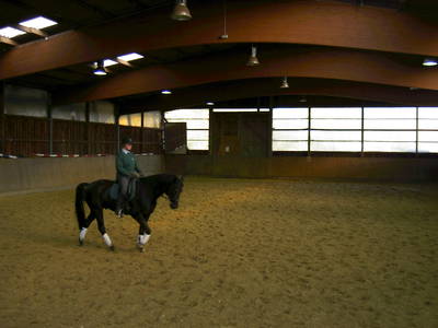Bild 15 aus  Hof Immenknick *** idyllischer Reiterhof