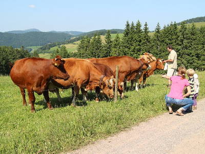 Bild 17 aus  Sunmattehof