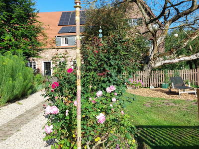 Bild 8 aus  Alpakas am Schloss