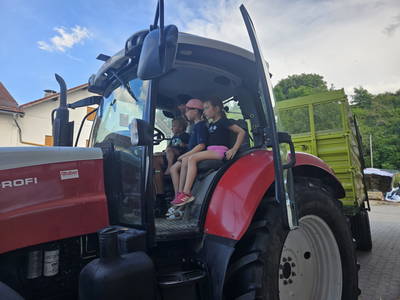 Bild 11 aus  Fürstenberger Hof