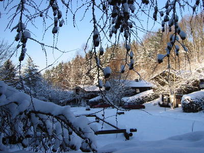 Bild 7 aus  Feriendorf Reinskopf