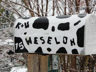 Bild 4 aus  Bauernhofferien Weseloh