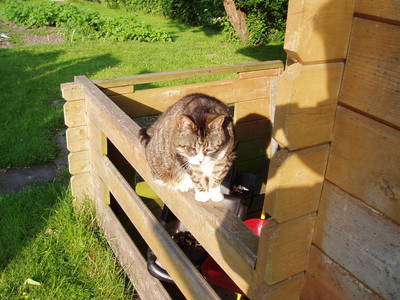 Bild 12 aus  Ferienhof Hohenhenne