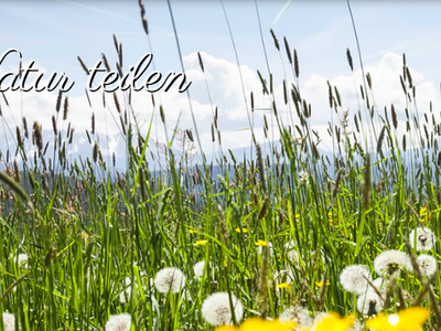 Bild 18 aus  Weidacherhof