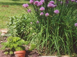 Bild 9 aus  Greiwenhof